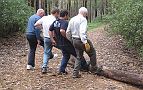 08-With the 2nd tree removed, Ian, Michael, Joe & Robert show their log rolling skills